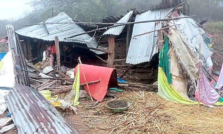 Dandeli: ಆಲೂರಿನಲ್ಲಿ ಕಾಡಾನೆ ಅಟ್ಟಹಾಸ; ದನದ ಕೊಟ್ಟಿಗೆ ಧ್ವಂಸ; ಎಮ್ಮೆ-ಕರುವಿಗೆ ಗಾಯ