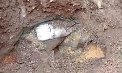  Wheat sacks meant for residential school students found buried on campus in Chikkamagaluru