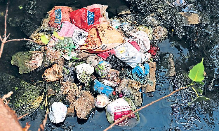 Foul smell in summer and floods in the monsoon