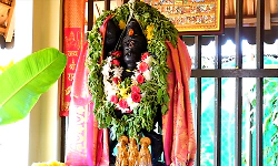 Installation of Sanjeevani Hanuman idol at Geeta Mandir