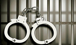 ಗಾಂಜಾ ಸಾಗಾಟ ಪ್ರಕರಣ: ಲಕ್ಷದ್ವೀಪ ನಿವಾಸಿಗೆ 6 ತಿಂಗಳು ಕಠಿನ ಜೈಲು ಶಿಕ್ಷೆ