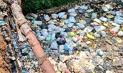 ಡಂಪಿಂಗ್‌ ಯಾರ್ಡ್‌ ಆದ ಪುಂಜಾಲಕಟ್ಟೆ ಸೇತುವೆ ಪ್ರದೇಶ