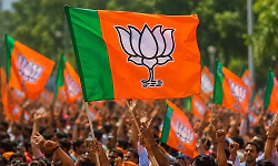 Himachal Pradesh Zila Parishad polls: BJP wins 190 of 251 seats in landslide victory