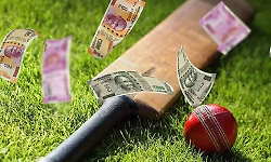 IPL betting: 8,750 illegal betting networks traced; special cyber teams launch probe