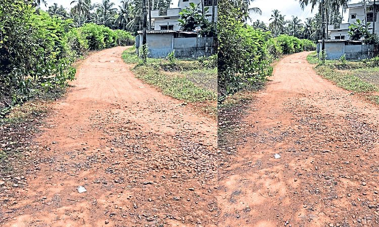 Tallur: 20 ವರ್ಷದಿಂದ ಡಾಮರೇ ಕಾಣದ 1.5 ಕಿ.ಮೀ. ರಸ್ತೆ