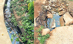 Malpe: ಚರಂಡಿಯಲ್ಲಿ ವರ್ಷ ಪೂರ್ತಿ ಕೊಳಚೆ ನೀರು ಸಂಗ್ರಹ