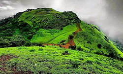 Kodachadri: ಸಹ್ಯಾದ್ರಿಯ ಸ್ವರ್ಗಧಾಮ ಕೊಡಚಾದ್ರಿ