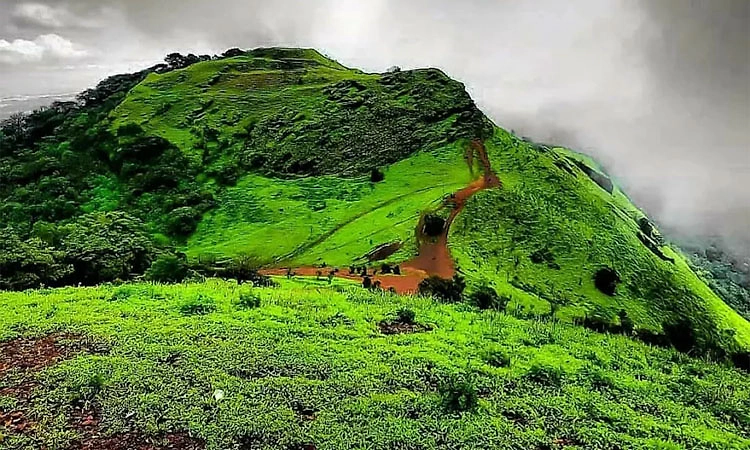 Kodachadri: ಸಹ್ಯಾದ್ರಿಯ ಸ್ವರ್ಗಧಾಮ ಕೊಡಚಾದ್ರಿ