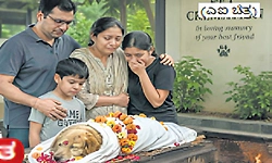 ಮೂಕ ಪ್ರಾಣಿಗಳ ಗೌರವಯುತ ವಿದಾಯಕ್ಕಿಲ್ಲ ಅಂತಿಮ ತಾಣ-ಖಾಲಿ ಜಾಗವೇ ಆಸರೆ