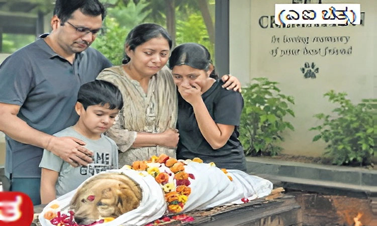 ಮೂಕ ಪ್ರಾಣಿಗಳ ಗೌರವಯುತ ವಿದಾಯಕ್ಕಿಲ್ಲ ಅಂತಿಮ ತಾಣ-ಖಾಲಿ ಜಾಗವೇ ಆಸರೆ
