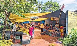 ತ್ರಾಸಿ ಸಂತೆಗೆ ಬೇಕು ಸ್ವಂತ ಜಾಗ
