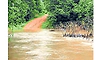ಹಾರಾಡಿ ಹೊಳೆ ಸೇತುವೆ ನಿರ್ಮಾಣಕ್ಕೆ ಬೇಡಿಕೆ