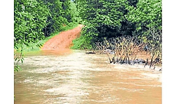 ಹಾರಾಡಿ ಹೊಳೆ ಸೇತುವೆ ನಿರ್ಮಾಣಕ್ಕೆ ಬೇಡಿಕೆ