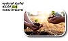 Greenery: ಕಾಂಕ್ರೀಟ್‌ ನುಂಗಿದ ಹಸುರಿಗೆ ಮತ್ತೆ ಉಸಿರು ನೀಡೋಣ