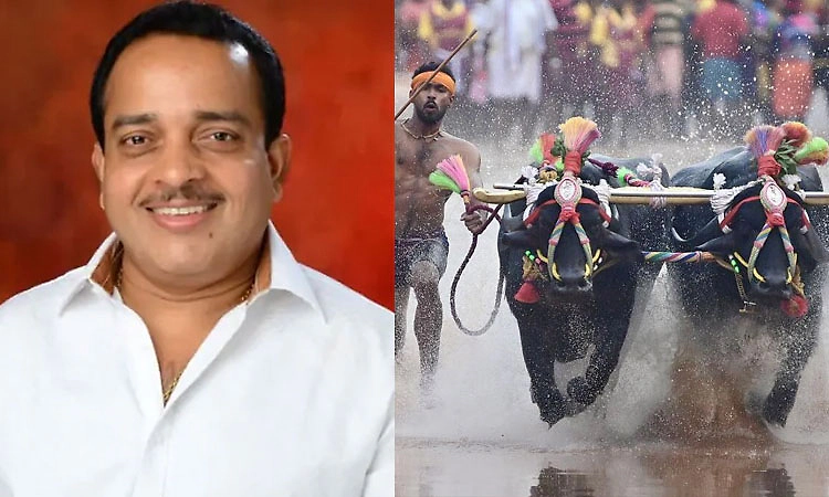 ದಸರಾ ಕಂಬಳ ವೀಕ್ಷಣೆಗೆ 30 ಲಕ್ಷ ಜನ ಭಾಗಿ ನಿರೀಕ್ಷೆ: ಅಶೋಕ್‌ ಕುಮಾರ್‌ ರೈ