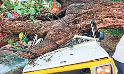 ಕೊಡಗು: ಹಲವೆಡೆ ಬಿರುಗಾಳಿ ಸಹಿತ ಮಳೆ; ಹಲವೆಡೆ ಹಾನಿ