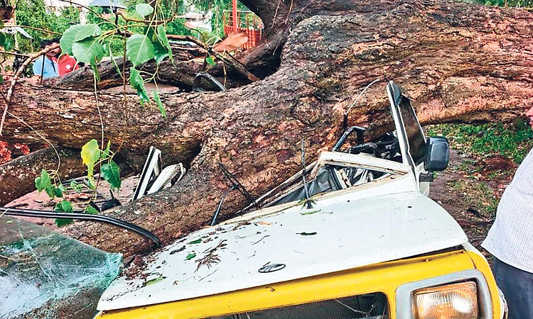 ಕೊಡಗು: ಹಲವೆಡೆ ಬಿರುಗಾಳಿ ಸಹಿತ ಮಳೆ; ಹಲವೆಡೆ ಹಾನಿ