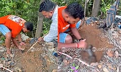 Kottigehara: ಅಪಘಾತದಲ್ಲಿ ಮಂಗ ಸಾವು; ಅಂತ್ಯಕ್ರಿಯೆ ನಡೆಸಿದ ಬಣಕಲ್ ಯುವಕರು