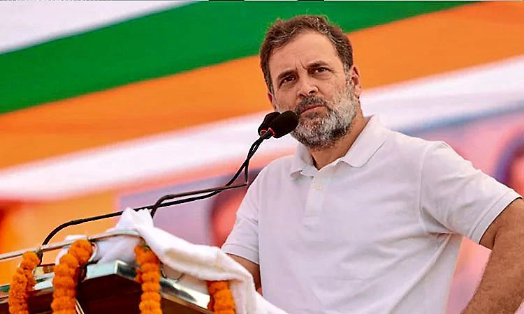 Winter Session: ಸಂಸತ್‌ ಕಟ್ಟಡದೊಳಗೆ ಸಾಕು ಪ್ರಾಣಿಗಳಿವೆ: ರಾಹುಲ್‌ ಗಾಂಧಿ ವ್ಯಂಗ್ಯ