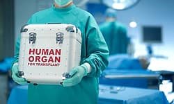 Karnataka records highest-ever 198 organ donations in 2025, ranks third nationally