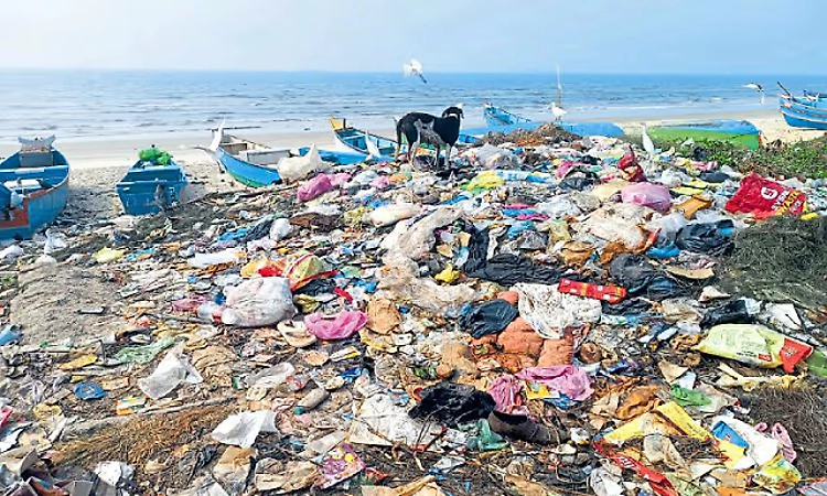 Garbage pile up along Malpe–Kola beach stretch raises concern