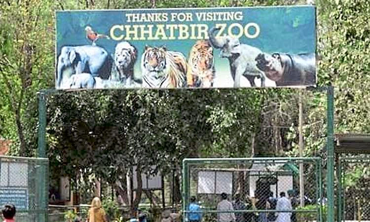 ಚಳಿಯಿಂದ ಪ್ರಾಣಿಗಳ ರಕ್ಷಣೆಗೆ ದಿಲ್ಲಿ ಝೂನಲ್ಲಿ ಯುವಿ ಬಲ್ಬ್, ಮ್ಯಾಟ್‌!