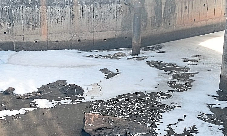 Mangaluru:‌ ಮರವೂರು ಬಳಿ ಫಲ್ಗುಣಿಗೆ ಕಲುಷಿತ ನೀರು