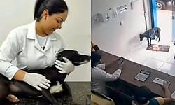 Viral Video: ಗಾಯದ ನೋವು ತಾಳಲಾರದೆ ಆಸ್ಪತ್ರೆ ಹುಡುಕಿಕೊಂಡು ಬಂದ ನಾಯಿ