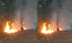 Fire breaks out again on hillock in Bajpe, residents alerted