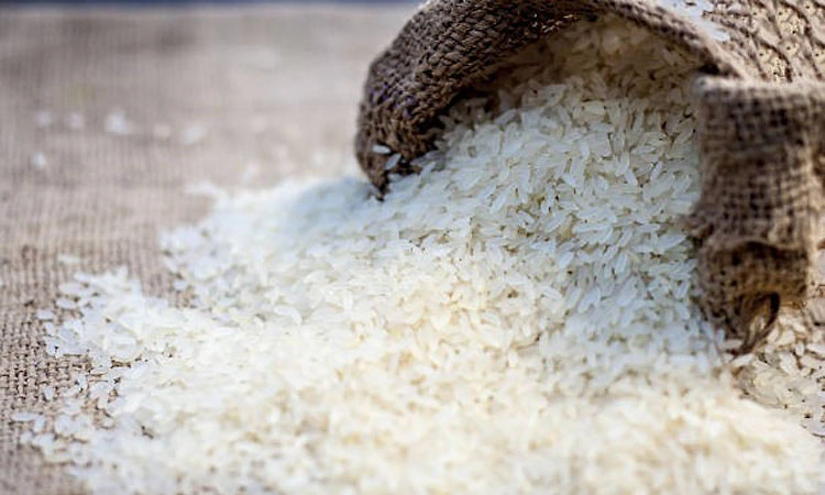 US tariff cut to 18 per cent to boost Indian rice exports: Exporters