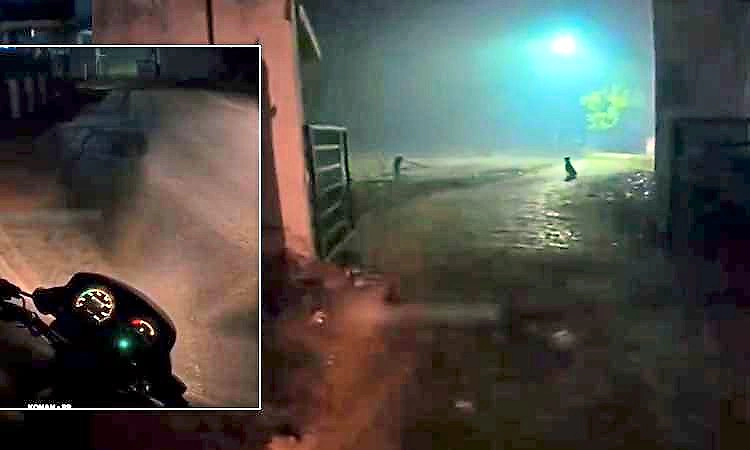 ನಡುರಾತ್ರಿ ಮಹಿಳೆಯಿಂದ ಶ್ಮಶಾನಕ್ಕೆ ಬಿರಿಯಾನಿ ಆರ್ಡರ್. ಲೊಕೇಶನ್ ಕಂಡು ದಂಗಾದ ಡೆಲಿವರಿ ಬಾಯ್