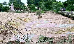 ದಕ್ಷಿಣ ಪಿನಾಕಿನಿ: ತ.ನಾಡಿಗೇ ಲಾಭ ಜಾಸ್ತಿ; ಪುನರ್ ಪರಿಶೀಲನಾ ಅರ್ಜಿ ಸಲ್ಲಿಸಬೇಕು: ಜಲತಜ್ಞರು