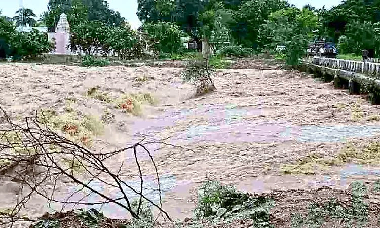 ದಕ್ಷಿಣ ಪಿನಾಕಿನಿ: ತ.ನಾಡಿಗೇ ಲಾಭ ಜಾಸ್ತಿ; ಪುನರ್ ಪರಿಶೀಲನಾ ಅರ್ಜಿ ಸಲ್ಲಿಸಬೇಕು: ಜಲತಜ್ಞರು