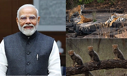 World Wildlife Day: ವನ್ಯಜೀವಿ ಸಂಪತ್ತನ್ನು ಸಂರಕ್ಷಿಸುವುದು ನಮ್ಮೆಲ್ಲರ ಕರ್ತವ್ಯ: ಮೋದಿ