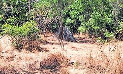 Karkala: ಅನಾಥವಾದ ಕಾರ್ಕಳದ ರಾಮಸಮುದ್ರ ಪ್ರಕೃತಿ ವನ ಪಾರ್ಕ್‌