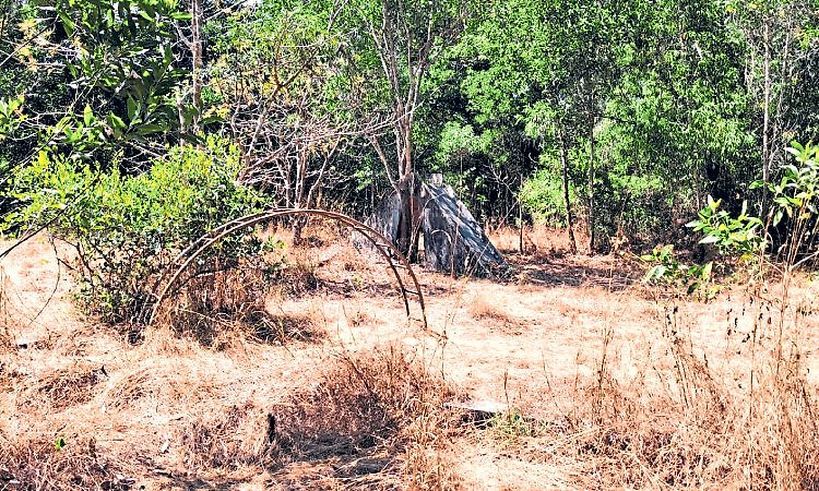 Karkala: ಅನಾಥವಾದ ಕಾರ್ಕಳದ ರಾಮಸಮುದ್ರ ಪ್ರಕೃತಿ ವನ ಪಾರ್ಕ್‌