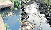 Manipal: ಮಳೆ ನೀರಿನ ತೋಡಿನಲ್ಲಿ ತ್ಯಾಜ್ಯ ನೀರು, ರೋಗ ಭೀತಿ