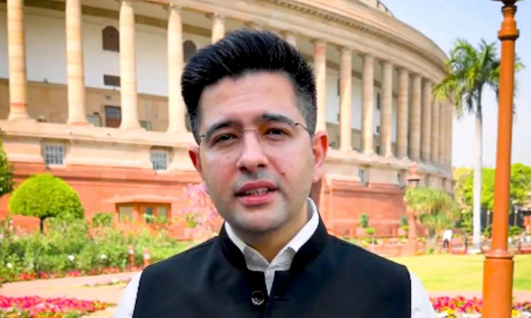 'Silenced, not defeated': Chadha slams AAP after RS post removal