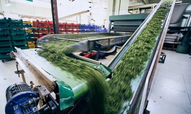 Duty relief to SEZs allows limited domestic sales without diluting export focus: Experts