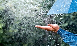 ಮಂಗಳೂರು: ಗುಡುಗು ಸಹಿತ ಗಾಳಿ ಮಳೆ ಸಾಧ್ಯತೆ