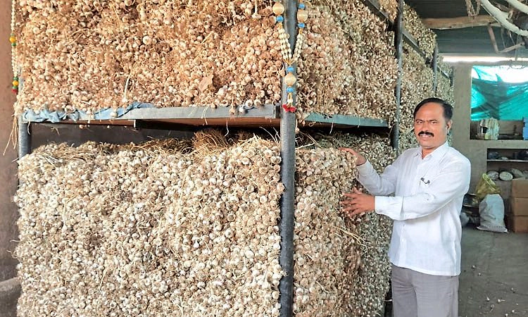 ಹೊಳ್ಳೊಳ್ಳಿ ನೋಡುವಂಗ ಬೊಳ್ಳೊಳ್ಳಿ ಬೆಳೆದ ರೈತ; ಕಡಿಮೆ ಖರ್ಚಿನಲ್ಲಿ ಉತ್ತಮ ಆದಾಯ