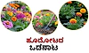 Flower Garden: ಹೂದೋಟದ ಒಡನಾಟ