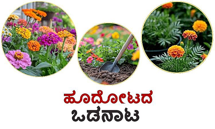 Flower Garden: ಹೂದೋಟದ ಒಡನಾಟ
