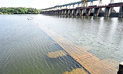 Mangaluru: ತುಂಬೆಯಲ್ಲಿ ಜಲಮಟ್ಟ ಕುಸಿತ: ಹಳೆ ಡ್ಯಾಂ ಗೋಚರ