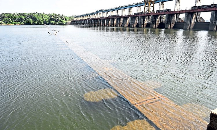 Mangaluru: ತುಂಬೆಯಲ್ಲಿ ಜಲಮಟ್ಟ ಕುಸಿತ: ಹಳೆ ಡ್ಯಾಂ ಗೋಚರ