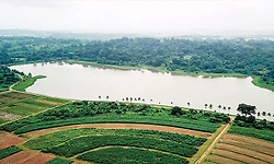 ಜೌಗು ಪ್ರದೇಶಗಳೆಂಬ ಪ್ರಕೃತಿಯ ಸಂಪತ್ತು!
