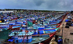 Boats anchored at Mangaluru harbour; workers return to their hometowns