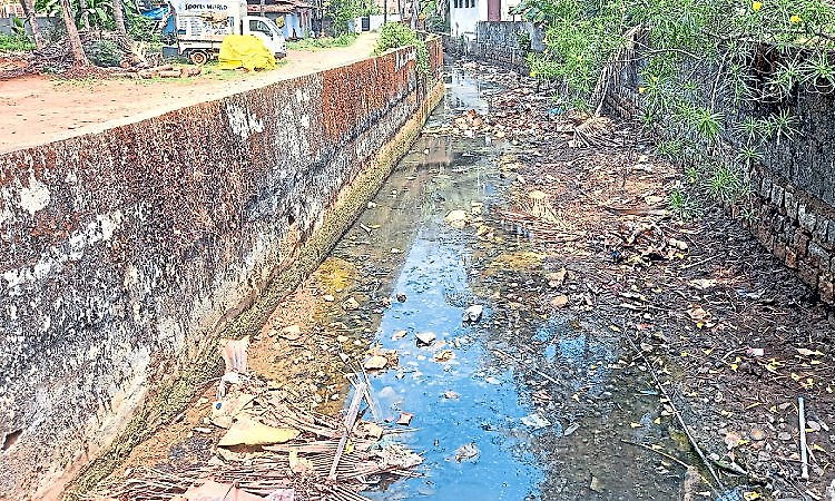 Drains remain unclean, residents complain of poor streetlight maintenance in Kundapur ward