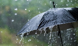 Rain: ದ. ಕ. ಜಿಲ್ಲೆಯಲ್ಲಿ ಉತ್ತಮ ಮಳೆ; ಇನ್ನೆರಡು ದಿನ ಬಿರುಸಿನ ಮಳೆ ಸಾಧ್ಯತೆ