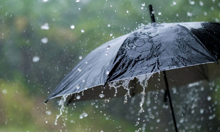 Rain: ದ. ಕ. ಜಿಲ್ಲೆಯಲ್ಲಿ ಉತ್ತಮ ಮಳೆ; ಇನ್ನೆರಡು ದಿನ ಬಿರುಸಿನ ಮಳೆ ಸಾಧ್ಯತೆ